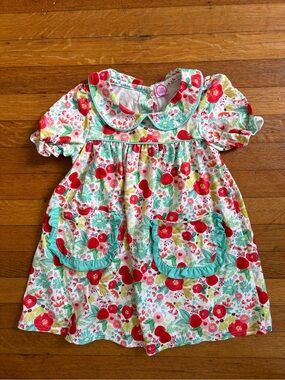 Isla Grace Girls 3T Floral Dress Peter Pan Collar Ruffle Front Pockets Puff Slee